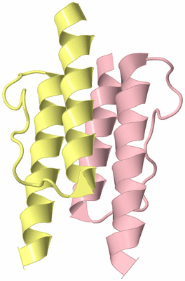 Image Biological Unit 5