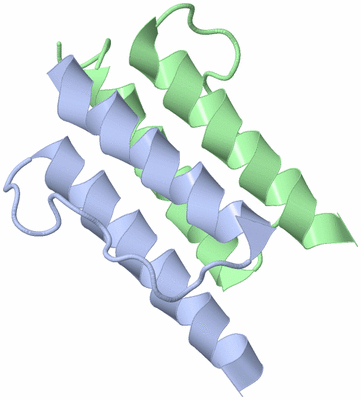 Image Biological Unit 6