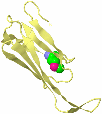 Image Biological Unit 4