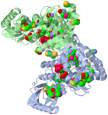 Image Asym./Biol. Unit