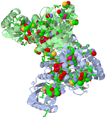 Image Asym./Biol. Unit - sites