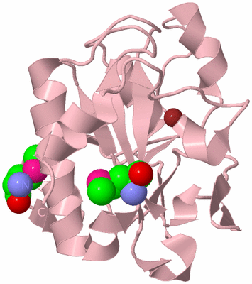 Image Biological Unit 3