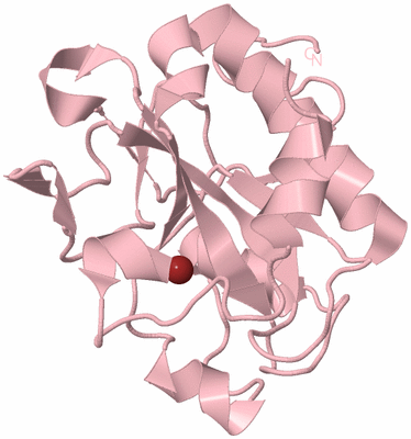 Image Biological Unit 3