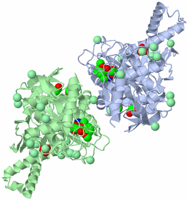 Image Asym./Biol. Unit