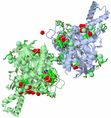 Image Asym./Biol. Unit - sites