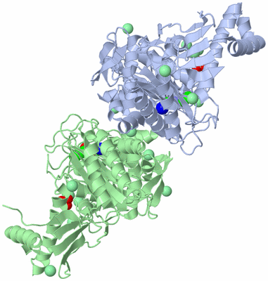 Image Asym./Biol. Unit