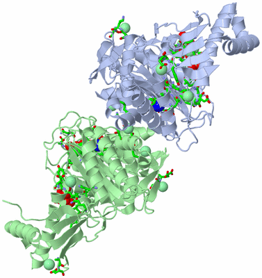 Image Asym./Biol. Unit - sites