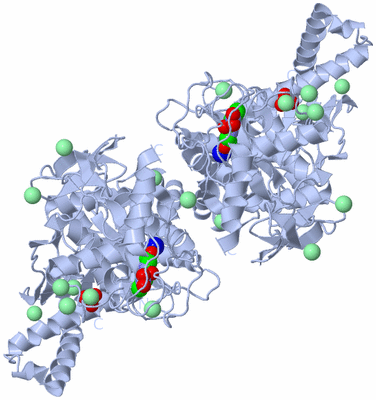 Image Biological Unit 1