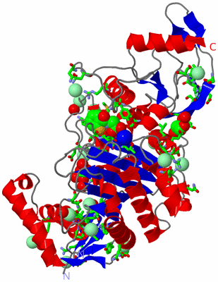 Image Asym. Unit - sites