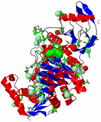 Image Asym. Unit - sites