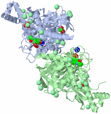 Image Asym./Biol. Unit