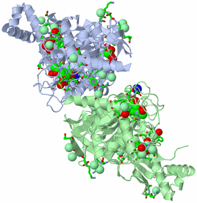 Image Asym./Biol. Unit - sites