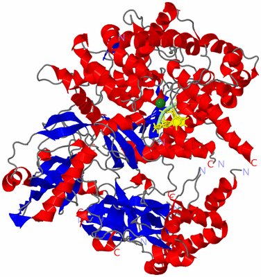 Image Asym./Biol. Unit