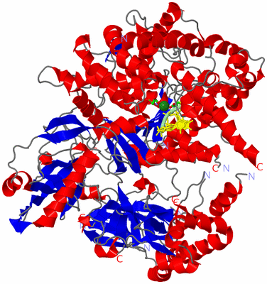 Image Asym./Biol. Unit - sites