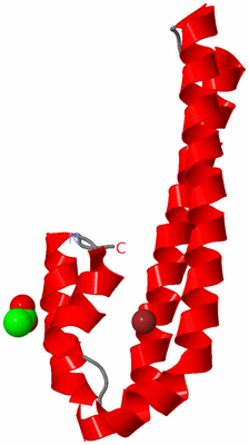 Image Asymmetric Unit