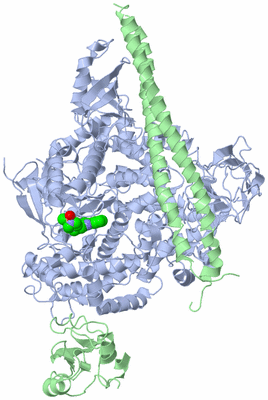 Image Asym./Biol. Unit