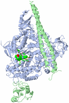 Image Asym./Biol. Unit - sites