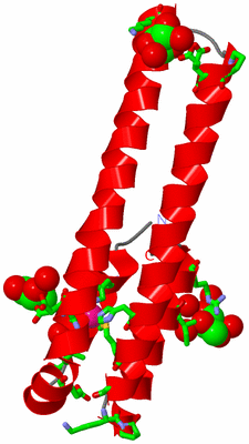 Image Asym. Unit - sites