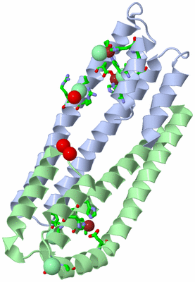 Image Asym./Biol. Unit - sites