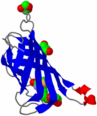 Image Asymmetric Unit