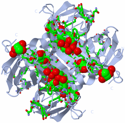 Image Biol. Unit 1 - sites