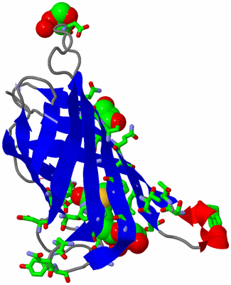 Image Asym. Unit - sites