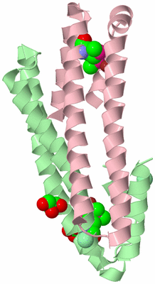 Image Biological Unit 2