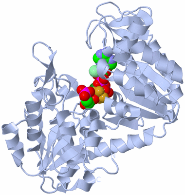 Image Biological Unit 1