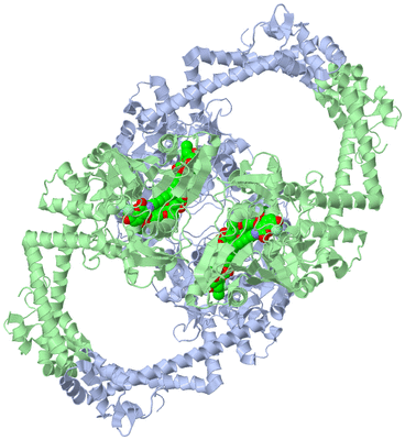 Image Biological Unit 1