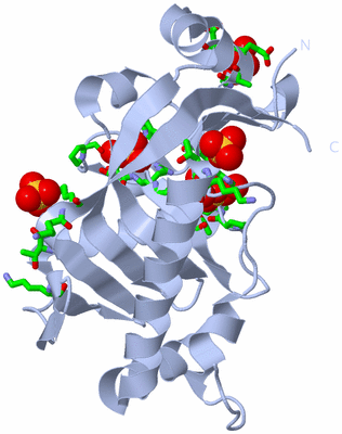 Image Biol. Unit 1 - sites