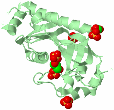 Image Biological Unit 2