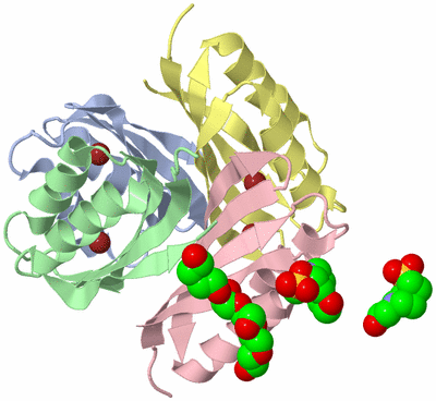 Image Biological Unit 1