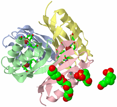 Image Biol. Unit 1 - sites