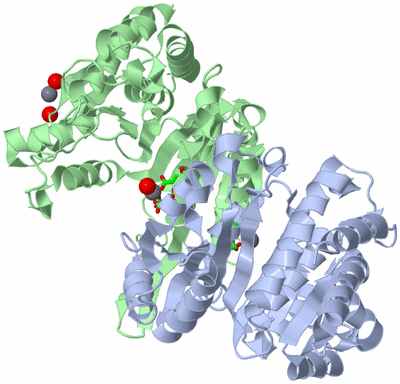 Image Asym./Biol. Unit - sites