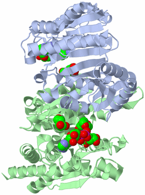 Image Biological Unit 1