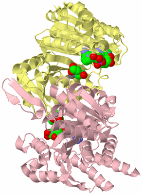 Image Biological Unit 2