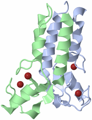 Image Asym./Biol. Unit