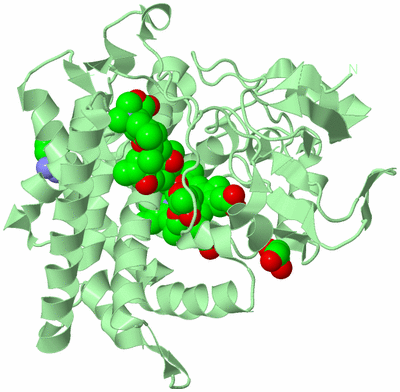 Image Biological Unit 2