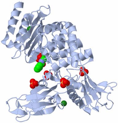 Image Biological Unit 1