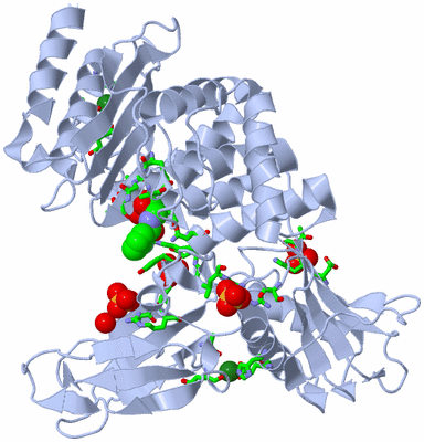 Image Biol. Unit 1 - sites