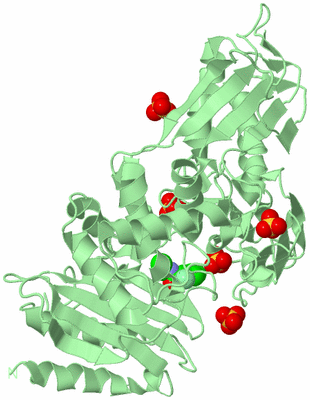 Image Biological Unit 2