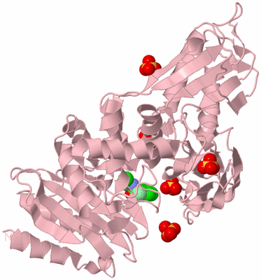 Image Biological Unit 3