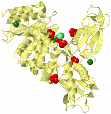 Image Biological Unit 4