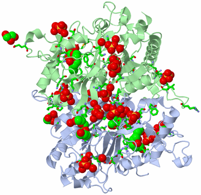 Image Biol. Unit 1 - sites