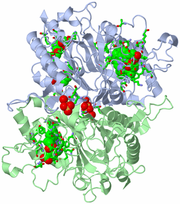 Image Asym./Biol. Unit - sites