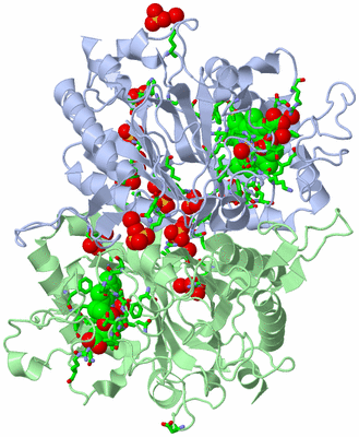 Image Asym./Biol. Unit - sites