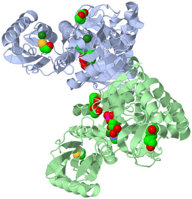 Image Asym./Biol. Unit