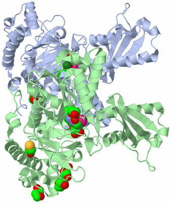 Image Asym./Biol. Unit