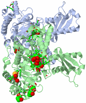 Image Asym./Biol. Unit - sites