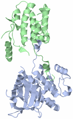 Image Biological Unit 2